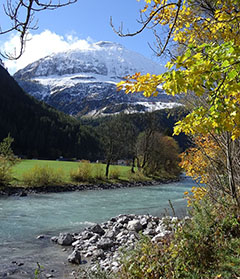 Im Fluss des Lebens